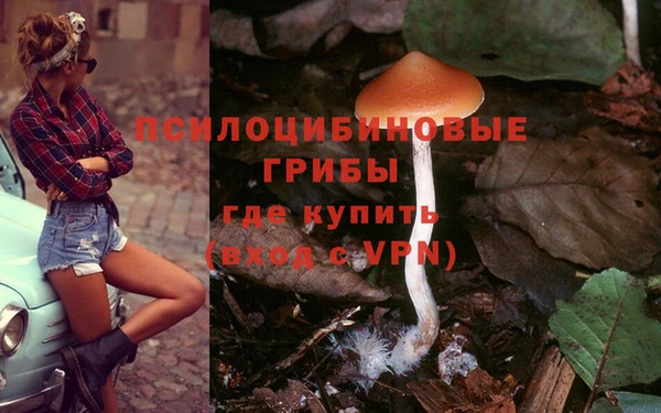 MESCALINE Мегион