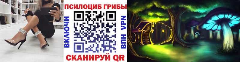 Псилоцибиновые грибы Magic Shrooms  Купить  Курчатов 