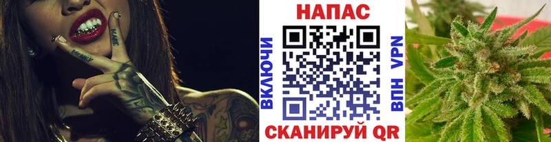 Конопля AK-47  Купить закладки  Курчатов 